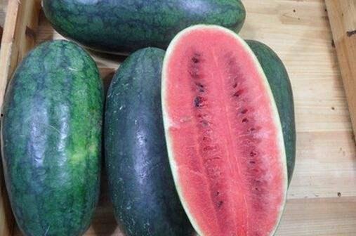 黑料社网红精品吃瓜,揭秘娱乐圈幕后真相